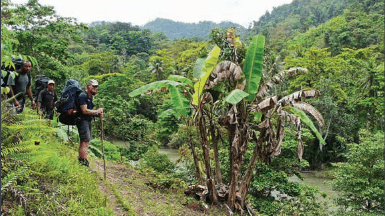 A group of three male hikers with large trekking backpacks walking along a narrow dirt trail on a hillside. The lead hiker uses a wooden walking stick. The trail overlooks a muddy river winding through a dense, lush tropical jungle with large banana trees and palm fronds. The sky is overcast and the mountains are visible in the distance.