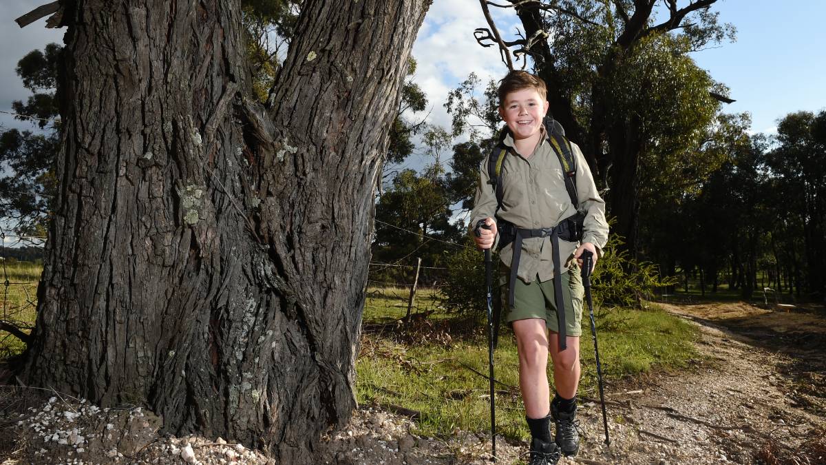 A young boy in hiking gear, including a backpack and walking poles, smiles while standing next to a large tree on a wooded path.