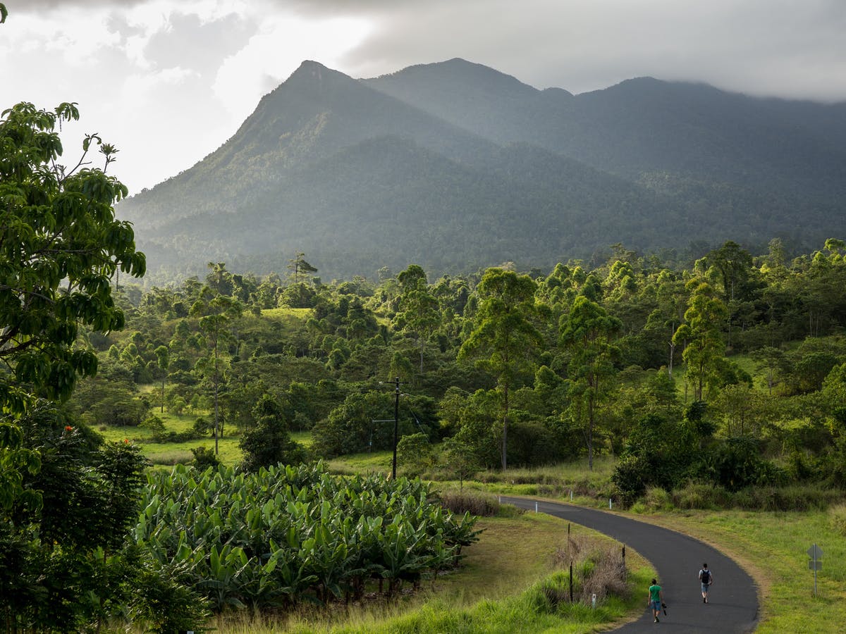 A winding paved road leads through a lush green valley toward a large, tree-covered mountain under a misty sky.