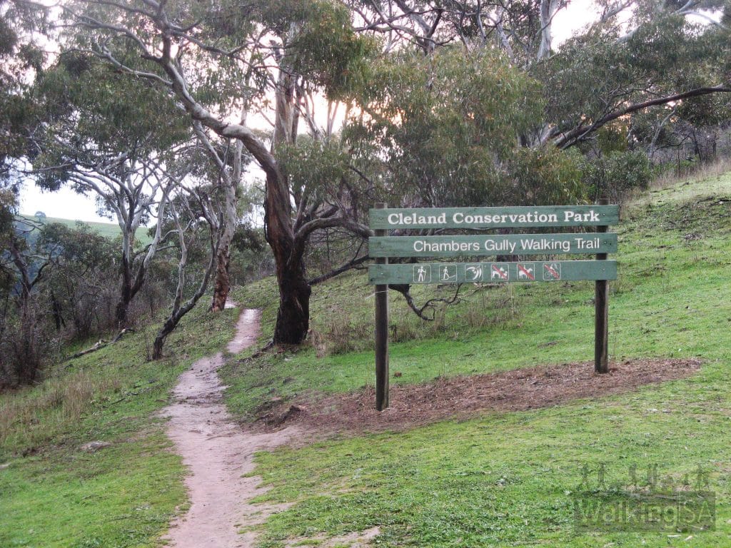 A low-angle shot of a wooded trail. Two wooden slats on a post point left toward a dirt path, reading "Macedon Ranges Trail" and "Memorial Cross 1.5 KM." The surrounding area is filled with tall trees, dry grass, and a set of wooden steps leading into the forest.