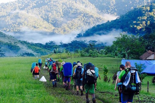 A group of hikers with large, colorful backpacks walking in a single file line along a grassy trail. They are heading toward misty, green-forested mountains under a soft, overcast sky.