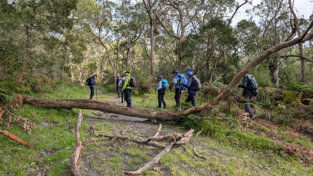 aussie-camino-kalangadoo-team-photo