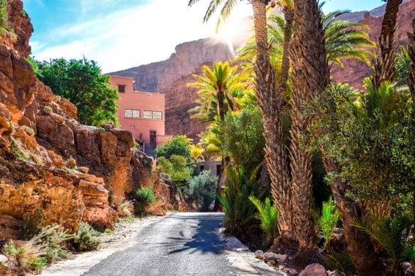 Sunlit pathway winding through a rocky canyon with lush vegetation and tall palm trees; a pink building with rectangular windows nestled among greenery and rock formations; steep cliffs rise dramatically in the background under bright sunlight.